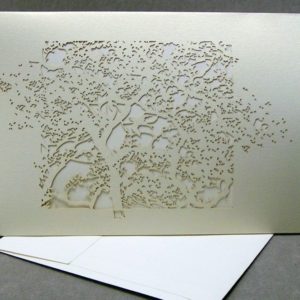 Beijing Spring - Invitation Sleeve Grande