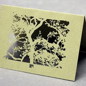 Beijing Spring (set of 10) - Place Cards