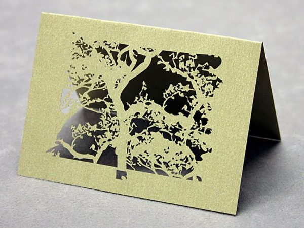 Beijing Spring (set of 10) - Place Cards