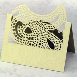 Shaadi Henna (set of 10) - Place Cards